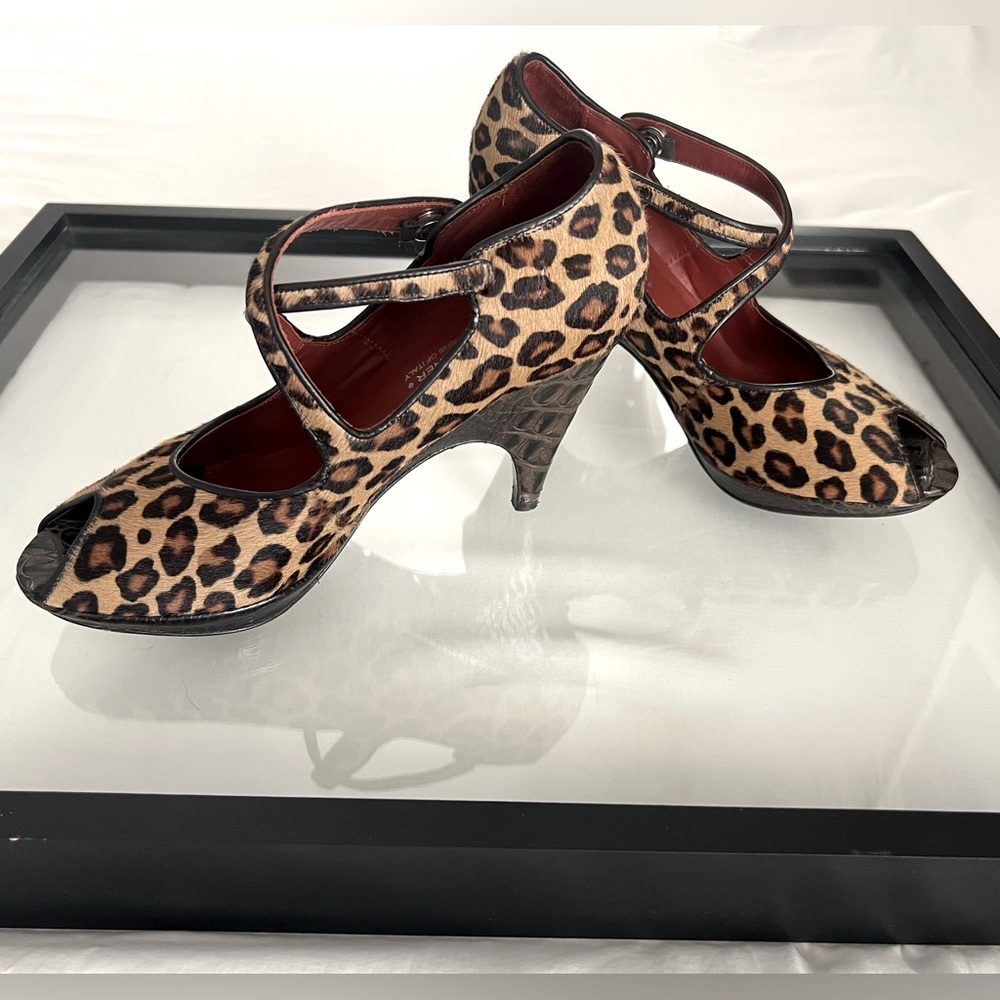Donald Pliner Leopard Haircalf Gator pumps sz 6.5